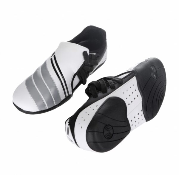 Соги Khan Evolution