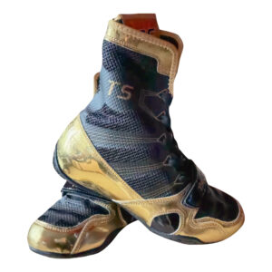 Боксерская обувь TaiShan, черно-золотая