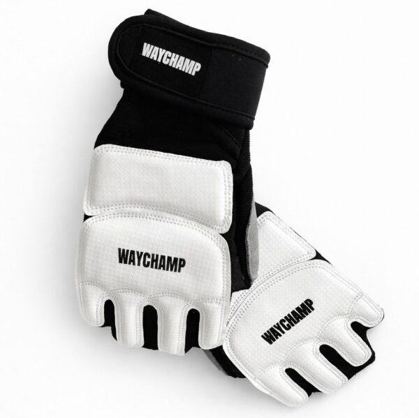Электронный перчатки  WayChamp Professional New Generation 2 (Аккредитованы WT)